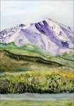 Timberline on Sopris