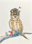 Bird Note Cards