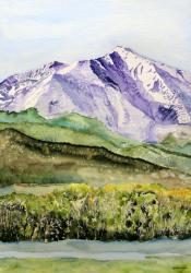 Timberline on Sopris