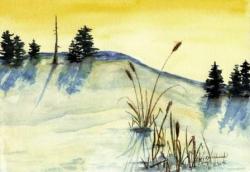 The Last Rays of a Winter Day