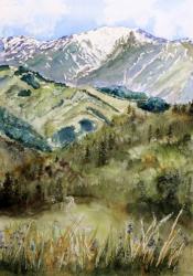 View from Van Horn Park of Aspen Highlands' Bowl