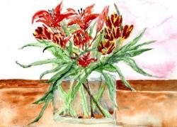 Tulips and Lilies