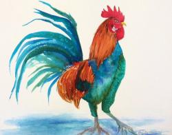 Hawaiian Rooster